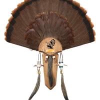 HS STRUT MOUNTING KIT TURKEY - TAIL & THREE BEARD