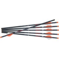 Ravin R18 Arrows .003 16 in. 6 pk.
