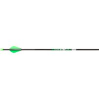 Victory VAP Elite Arrows 200 2 in. Vanes 6 pk.