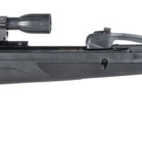 Gamo 611006875554 Swarm Whisper Gas Piston 22 Pellet 10rd Black Fluted/Rifled Barrel, Black Receiver Fixed All Weather Stock Scope 4x32mm