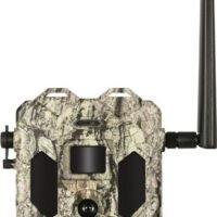 BUSHNELL TRAIL CAM CELLUCORE - LIVE DUAL-SIM 32MP NO GLOW
