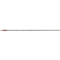 Victory RIP Sport Arrows 500 2 in. Vanes 6 pk.