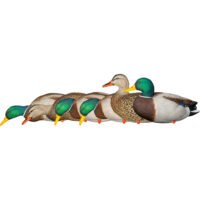 AvianX AXP Fusion Duck Decoys Mallards 6 pk.
