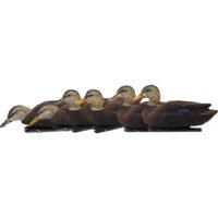AvianX Top Flight Duck Decoys Flocked Black Duck 6 pk.