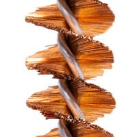 KleenBore SC205 ChamberMate Chamber Brush 12 Gauge Shotgun #5/16-27 Thread Phosphor Bronze Bristles