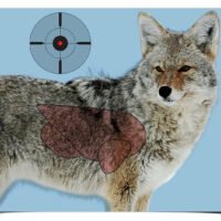 Birchwood Casey 35405 Pregame  Coyote Paper Hanging Rifle 16.50" x 24" Impact Enhancement Yes 3 Per Pkg