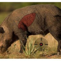 Birchwood Casey 35408 Pregame Boar Paper Target 16.50" x 24" 3 Per Pkg