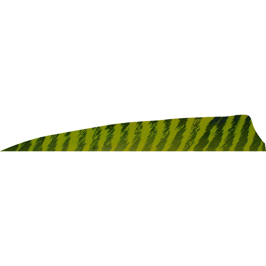 Gateway Shield Cut Feathers Barred Chartreuse 4 in. LW 50 pk.