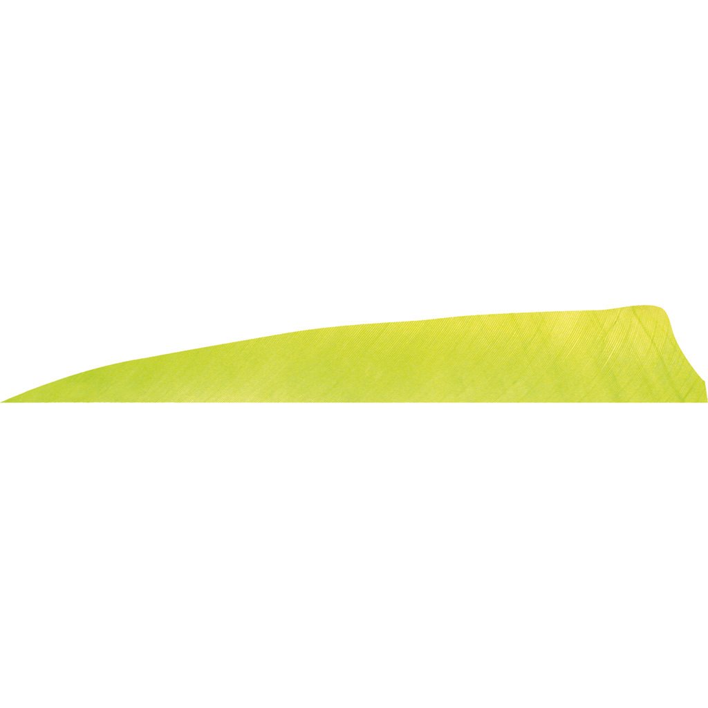 Gateway Shield Cut Feathers Lemon Lime 4 in. LW 50 pk.