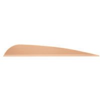 AAE Trad Vanes Sand 4 in. 50 pk.