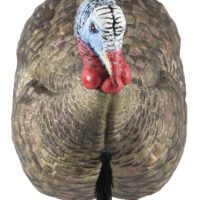 Avian X AVXAVX8012 LCD Half-Strut Jake Turkey Species Multi Color Dura-Rubber