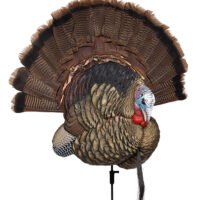 Avian X AVXAVX8021 Trophy Tom  Turkey Species Multi-Color *No Fan