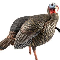 Avian X AVXAVX8105 HDR Jake Turkey Decoy Multi Color