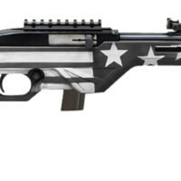 Citadel CIT22LRBUSG Trakr  22 LR 10+1 18" Blued Steel Threaded Barrel & Receiver, Gray Flag Synthetic Stock