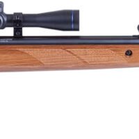 Blue Line Solutions 25003205 Diana Two-Fifty 5.5mm .22 Cal 24 Joule w/Gas Spring Set