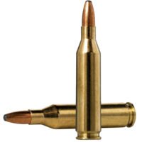 Norma Ammunition 20160332 Oryx 243Win 100gr 20 Per Box/10 Case