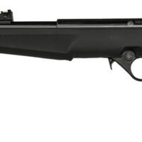 Rossi RB22L1611EN01 RB22 US Flag Compact 22 LR 10+1 16.50" Matte Black Threaded Barrel, Black Aluminum Receiver, Black w/US Flag Synthetic Fixed Stock
