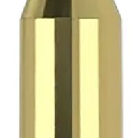 Nosler 40041   243Win 70gr Ballistic Tip Varmint 20 Per Box/10 Case