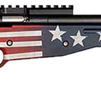 Crickett KSA2150-OG Precision  Full Size 22 LR Single Shot 16.10" Blued Threaded Bull Barrel, Blued Crickettinny Rail Steel Receiver, Old Glory Synthetic Adj LOP Stock