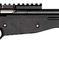 Crickett KSA2150-BLK Precision  Full Size 22 LR Single Shot 16.10" Blued Threaded Bull Barrel, Blued Crickettinny Rail Steel Receiver, Black Synthetic Adj LOP Stock