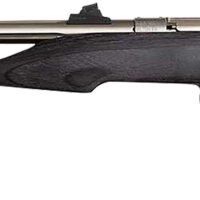 Chipmunk 40103 Hunter  Youth Frame 22 LR Single Shot 9" Threaded Stainless Steel Barrel, Black Laminate Frame