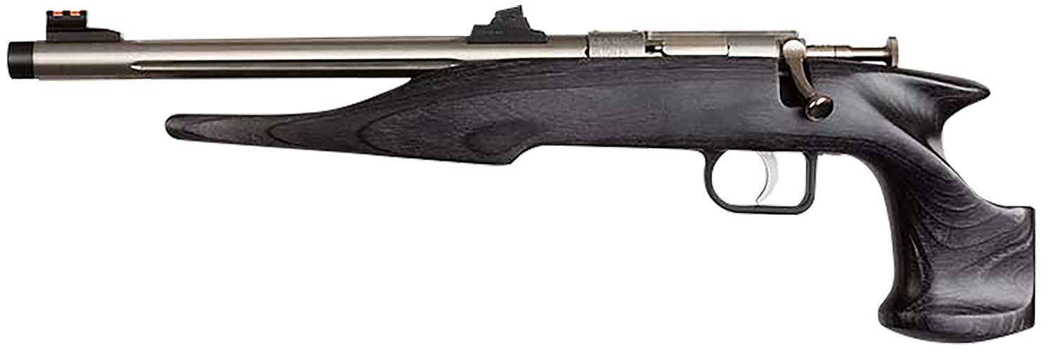 Chipmunk 40103 Hunter Youth Frame 22 LR Single Shot 9" Threaded Stainless Steel Barrel, Black Laminate Frame