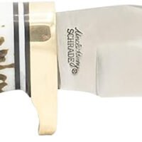 Uncle Henry 1100087 Next Gen Golden Spike 5" Fixed Plain Satin Polished Stainless Steel Blade, Brown Brass Accents Staglon Handle