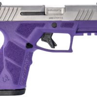 Taurus 1-GX2939DP-10 GX2 9mm Luger 10+1 3.37" Matte Stainless Steel Barrel, Matte Serrated Stainless Steel Slide, Dark Purple Polymer Frame w/Picatinny Rail, Polymer Grip
