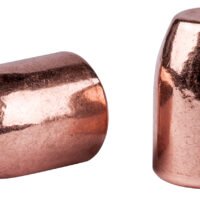 Speer 4713 Handgun Plinking  40 Caliber .400 180 GR Flat Nose 500 Box