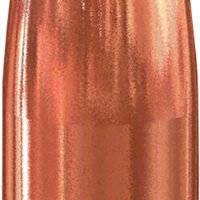 Speer 4708 Varmint  22Cal 52gr Jacketed Hollow Point 1000 Per Box/1 Case