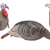 HS Strut 100006 Strut-Lite Flock Wild Turkey Species Multi Color Synthetic 3 Per Pack