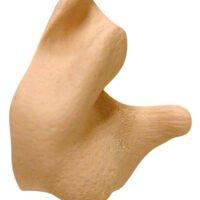 Radians CEP002T Custom Molded Earplugs Silicone 26 dB In The Ear Tan Adult