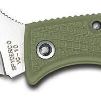 Spyderco LFGP3 Ladybug 3 1.94" Folding Clip Point Plain VG-10 SS Blade Foliage Green FRN Handle