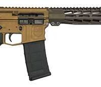 DARK STORM DS15 TYPH STD 556 RFL CH