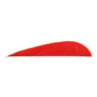 Trueflight Parabolic Feathers Red 3 in. LW 100 pk.