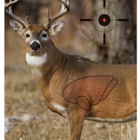 Birchwood Casey 35401 Pregame  Deer Paper Hanging Universal 16.50" x 24" 3 Per Pkg