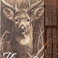 BARNES HARVEST 300 WM 180GR - TIPPED GAMEKING 20RD