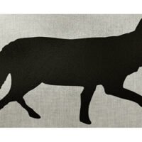 ALLEN EZAIM INFRARED ID COYOTE 24X12