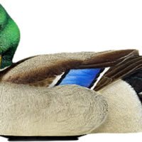 AVIAN X POWER SHAKER MALLARD - DRAKE PREENER DECOY