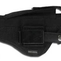 BULLDOG EXTREME JUDGE PUBLIC DFDR