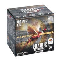 FED PR STORM 28GA 2.75" #6 LD 25/250