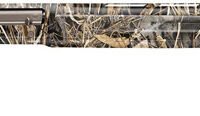 BROWNING A5 SWEET 16 2.75" - 28"VR REALTREE MAX-7