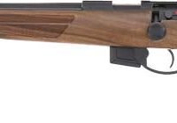 ANSCHUTZ 1761L D HB 17HMR - 20" BLUED/WALNUT CLASSIC LH