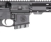 S&W M&P15 SPORT III 5.56 RIFLE - 10-SH STATE COMPLIANT FIX STK