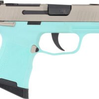 SIG P365 MIC COMP 380ACP 3.1" - XRAY3 OR (2)10RD ROB EGG/NICK