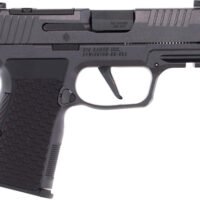 SIG P365 AXG LUXE 380ACP 3.1" - 2-PORT XRAY3 (3)12RD BLACK