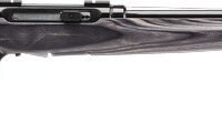 SAVAGE A17 17HMR HVY BBL 22" - ACCU TGR BLU/GRY LAM SPORTER