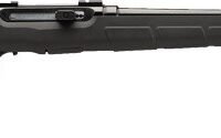 SAVAGE A22 22WMR AUTO 21" - ACCU TGR BLK/BLK SYN 10-SHOT