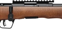 SAVAGE B22 TIMBER THUMBHOLE - 22LR 18" 10RD BLUED/WOOD