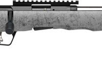 SAVAGE B17 17HMR TIMBERLITE - THUMBHOLE 18" CF 10RD GRY WOOD
